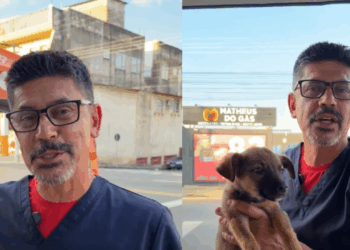 "Sobrou apenas ele": O filhotinho de olhar triste que viu toda a família ser adotada e finalmente recebe a notícia que esperava
