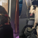 "9 cachorros, 9 gatos e 4.000 km": família freta ônibus para se mudar com todos os pets e gesto viraliza