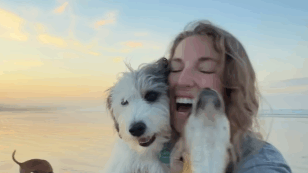 Voluntários acreditavam que cachorrinho traumatizado melhoraria logo após resgate, até equipe perceber o que estava faltando: "O tempo de cura era outro"