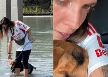 “Falaram que ele pulou e arranhou uma criança”: protetora não crê em motivo de devolução