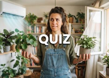Quiz de Jardinagem: Ar-condicionado ou ventilação natural para plantas de sombra? Entenda a diferença no desenvolvimento das folhagens e saiba como proteger as pontas das folhas