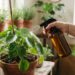 Nem defensivo químico pesado, nem calda tóxica: a melhor maneira de afastar pulgões das plantas usando extrato diluído de folhas de nim, segundo horticultores