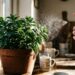 Adeus, hortelã comum: essa variação silvestre com sabor de menta e mel brota em vasos em 15 dias e purifica o ambiente