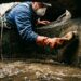 Caixa d'água limpa por fora mas contaminada por dentro: o hábito que passa despercebido