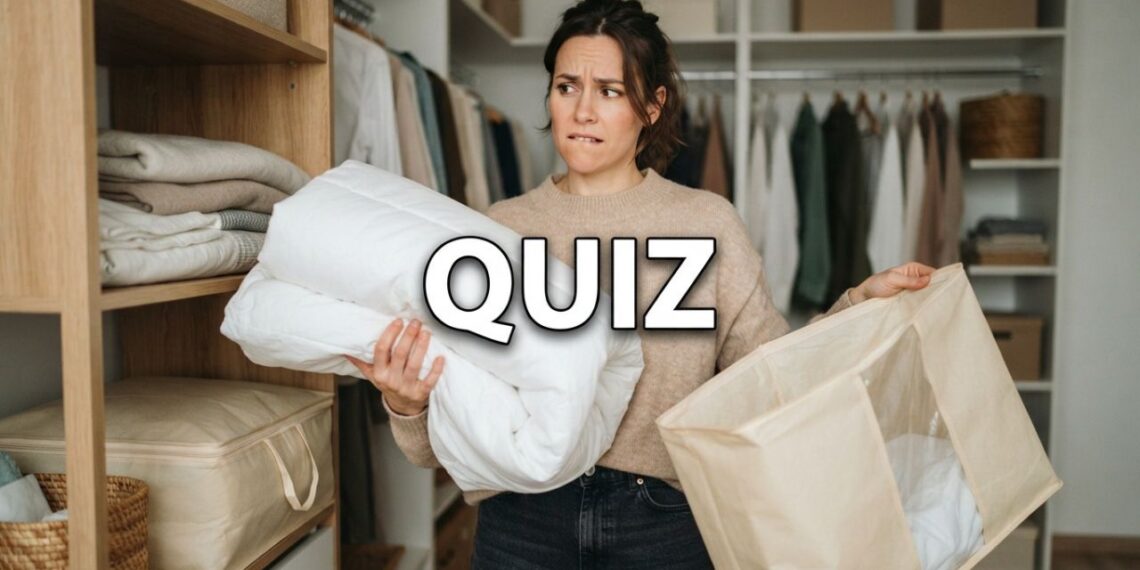 Será que você sabe guardar o edredom? Teste seus conhecimentos no Quiz: prateleira superior ou capa respirável?