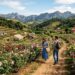 A Cidade das Rosas ostenta o título oficial em solo mineiro e concentra 80% de toda a produção de flores do estado na serra