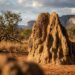 Cupinzeiro de terra vermelha na vegetação nativa do Cerrado sob luz solar na Chapada dos Veadeiros