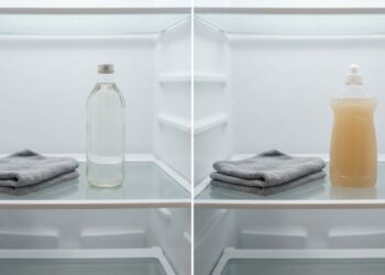 Lavar a geladeira com vinagre de álcool ou detergente neutro: veja a diferença e qual é o jeito certo de evitar odores na comida, segundo especialistas