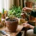 O jardim de casa sofre com as mudanças climáticas não apenas pelo excesso de sol, mas também pela alternância brusca entre temporais e secas que compactam o solo e sufocam as raízes das plantas