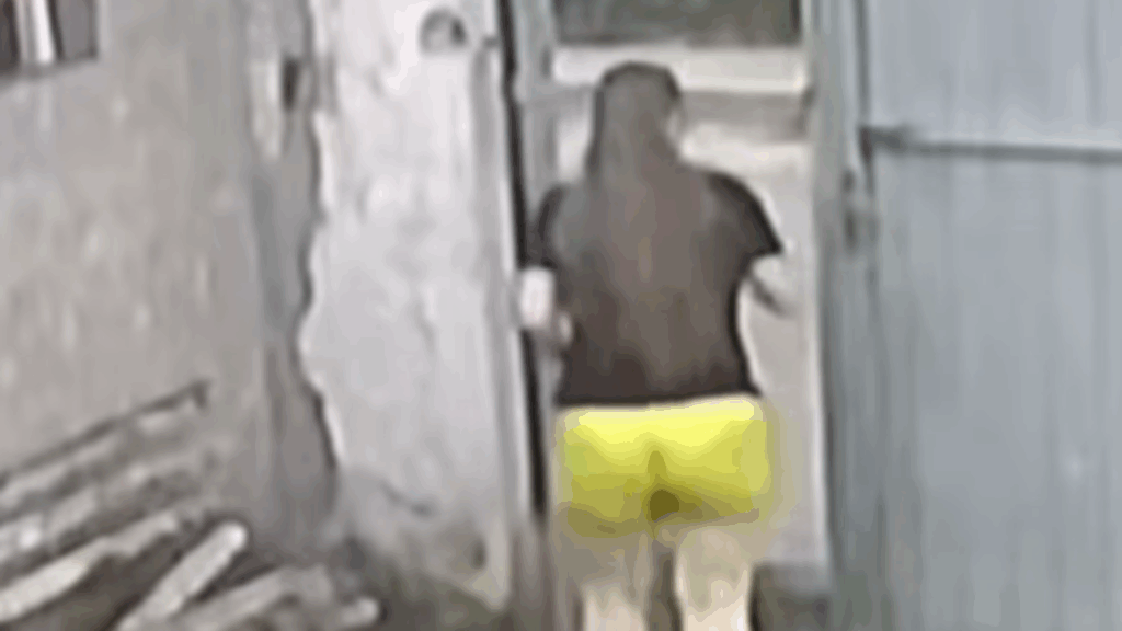 Fisioterapeuta para atendimento ao ouvir gritaria e resgata cãozinho atacado na rua: "Nossa família aumentou!"