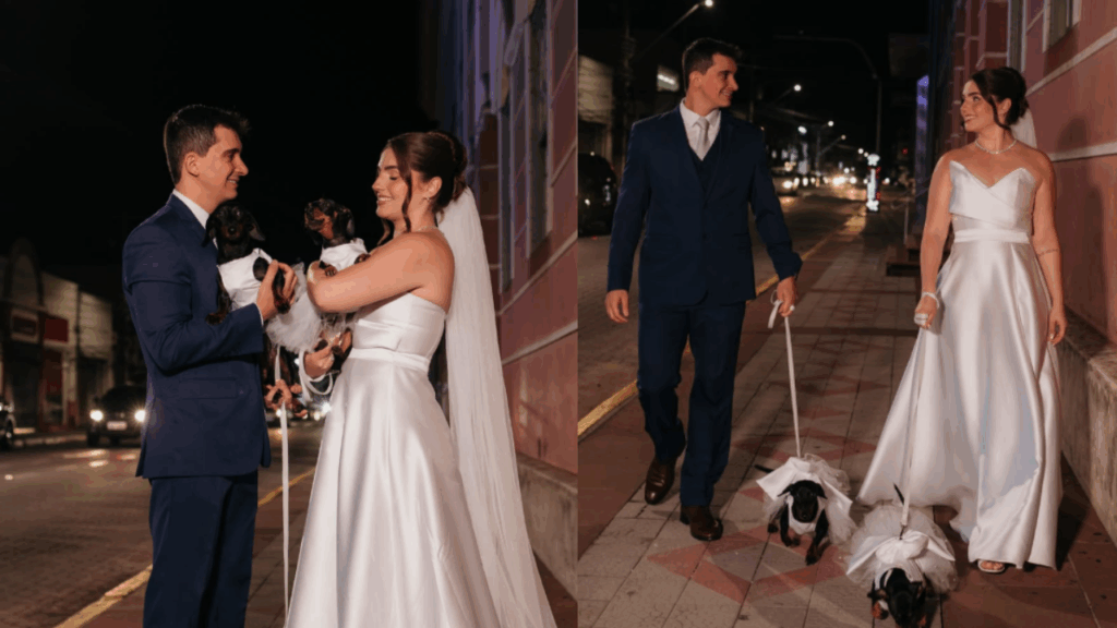 Casal tenta ensaio elegante com cadelas dachshunds no casamento, mas resultado diverte a web: "Outros planos"