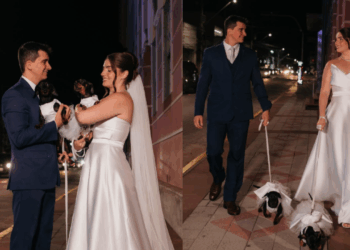 Casal tenta ensaio elegante com cadelas dachshunds no casamento, mas resultado diverte a web: "Outros planos"