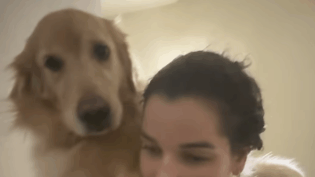 Jovem sobe 19 andares com golden retriever nas costas para proteger cadela sem luz no prédio: "O temido dia chegou"