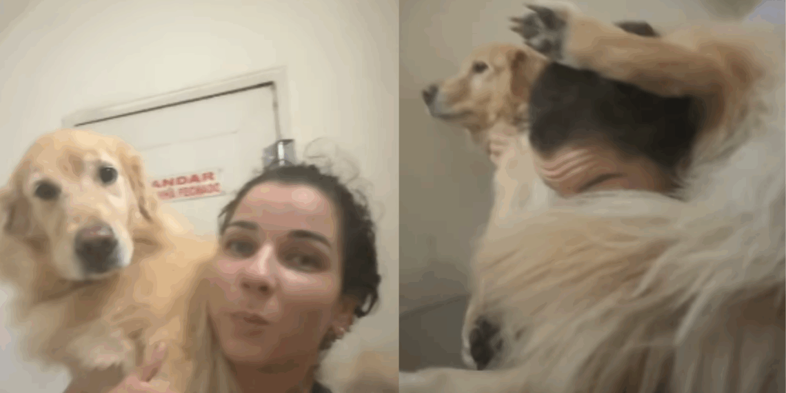 Jovem sobe 19 andares com golden retriever nas costas para proteger cadela sem luz no prédio: "O temido dia chegou"