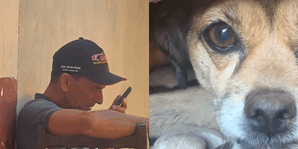 Homem fica radiante com a chegada de 4 netinhos caninos e emociona em ligação: "Nasceram todos bem!"