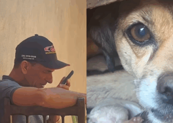 Homem fica radiante com a chegada de 4 netinhos caninos e emociona em ligação: "Nasceram todos bem!"
