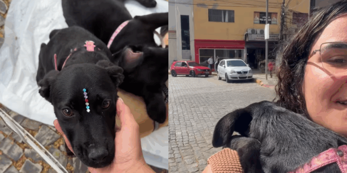 Jovem sai de casa para fazer as unhas e volta acompanhada após feira de adoção de animais: "Só tinha sobrado ela"