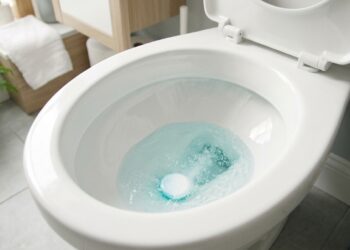 O erro fatal que arranha o esmalte da cerâmica na hora de limpar o vaso e a técnica infalível usada para salvá-lo