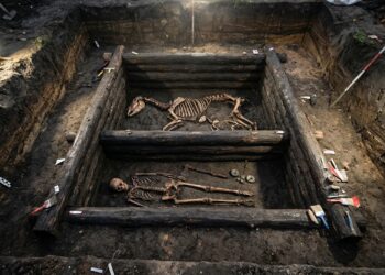 Escavação arqueológica expondo câmara funerária de madeira do século X com ossadas de guerreiro, cavalo e balança de precisão sob solo escuro.