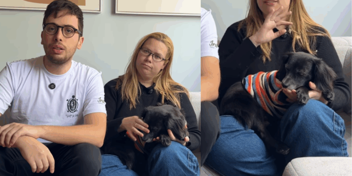 Casal diz ter caído em golpe de ONG de animais e revela como adotou vira-lata devolvido por outras famílias