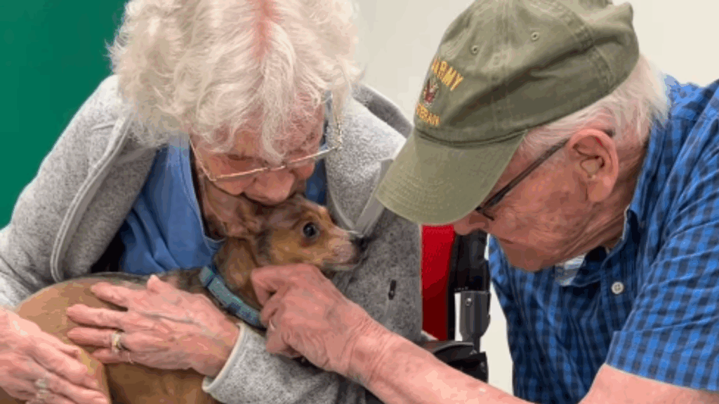 Idosa de 90 anos pede à filha um cachorro e ganha a melhor companhia para seus dias na cadeira de rodas