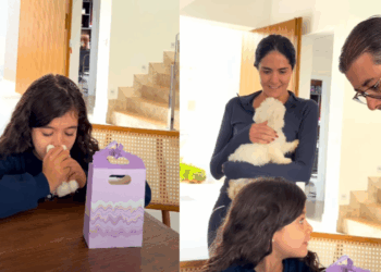 Menina ganha West Terrier de pelúcia sem imaginar que ele ganharia vida e dispara: “Parece um sonho”