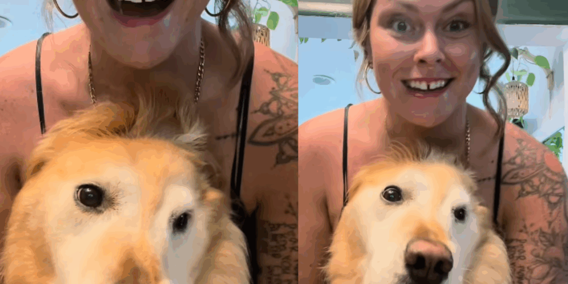 Cachorra golden vira 'unicórnio' após acidente de nascimento e encanta a internet com sua história de superação