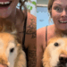 Cachorra golden vira 'unicórnio' após acidente de nascimento e encanta a internet com sua história de superação