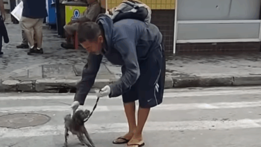 “Sem motivos para viver”: homem resgata cão debilitado na rua com uma bicicleta e emociona a web