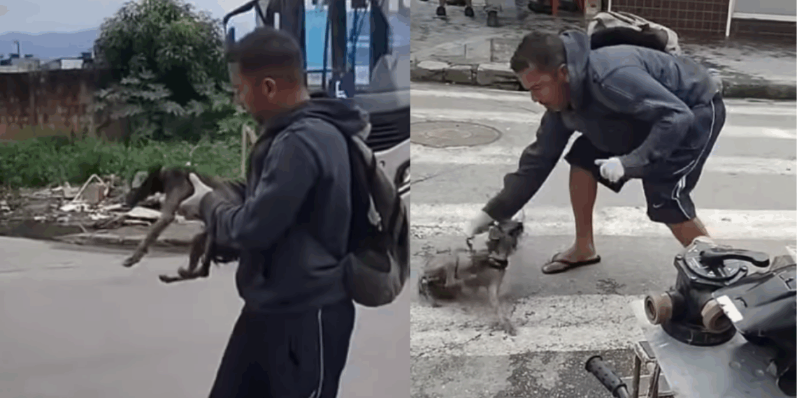 “Sem motivos para viver”: homem resgata cão debilitado na rua com uma bicicleta e emociona a web