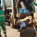 “Atrapalhante de gari”: cão caramelo espera caminhão de lixo todos os dias para brincar com amigo e encanta a web