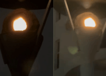João-de-barro surpreende web ao construir ninho dentro de luminária de resort em Santa Catarina
