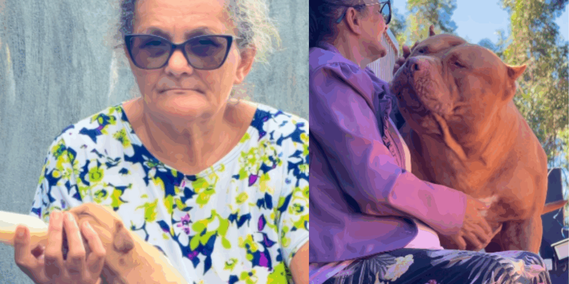 "De bebê de colo a colosso": senhora cuida de filhote indefeso na mamadeira e cão Pit Monster surpreende web com transformação