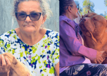 "De bebê de colo a colosso": senhora cuida de filhote indefeso na mamadeira e cão Pit Monster surpreende web com transformação