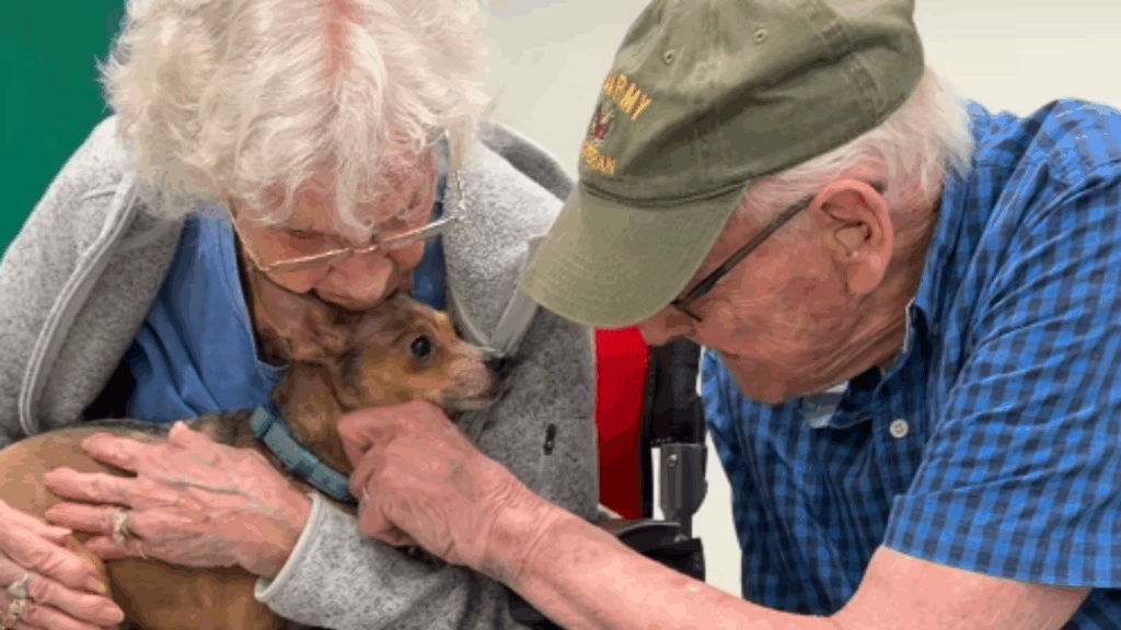 “Ela encontrou o colo certo”: cachorrinha cega é adotada por idosa de 90 anos e não quer mais sair dali