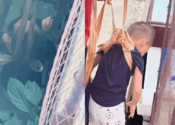 Coragem de menina de 3 anos que desceu em vão estreito para salvar cachorro divide opiniões na web
