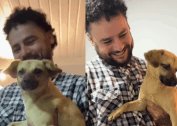 “Foi ele que me achou”: vira-lata caramelo abandonado em posto de gasolina emociona web ao conhecer as crianças