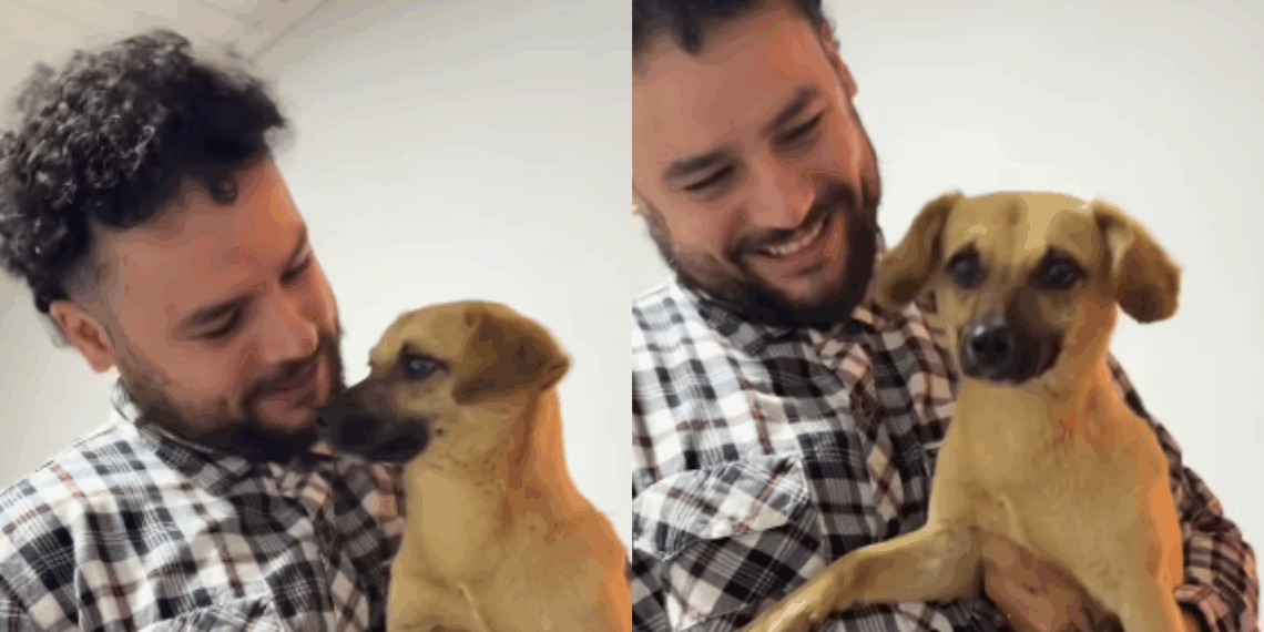 Pai resgata vira-lata caramelo em posto de gasolina e se surpreende com a primeira atitude do cão com os filhos