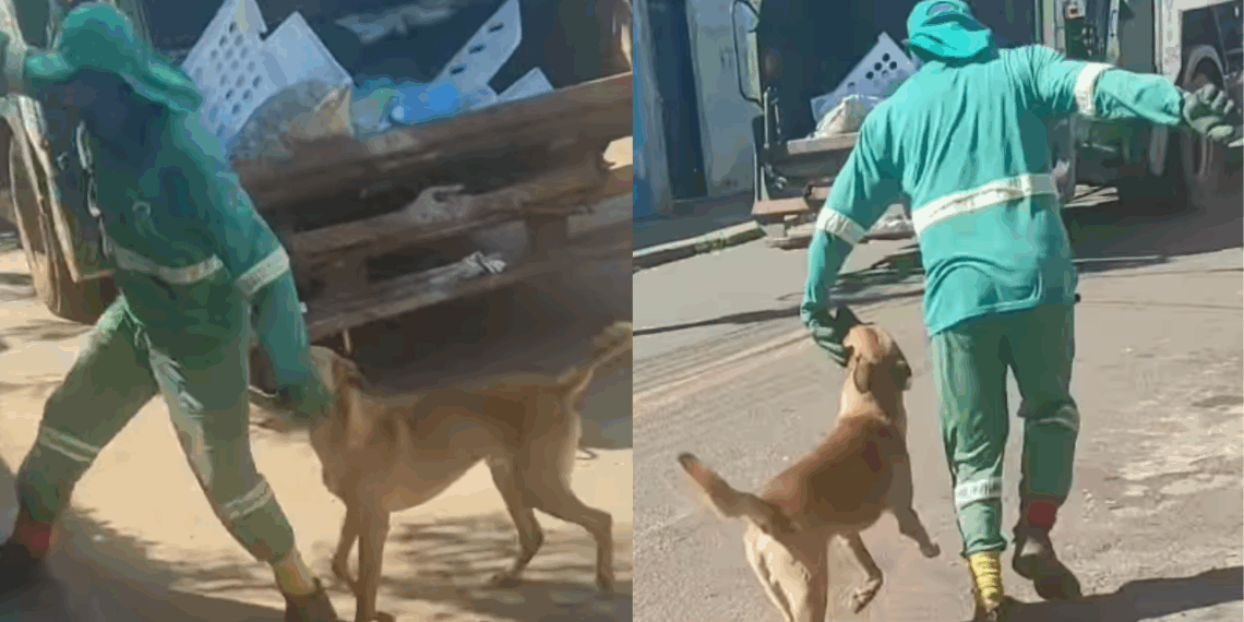 Conheça Mazzaropi, o cachorro "desajudante" de garis que viralizou na web: "Se não pode ajudar, atrapalhe"