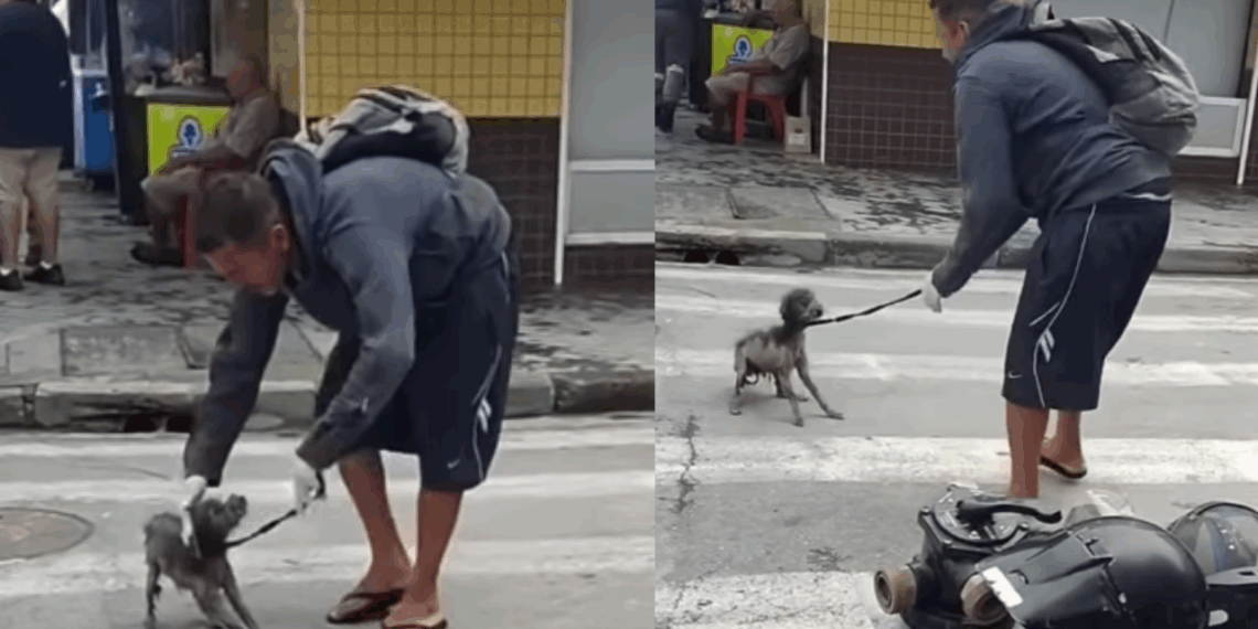 “Ele parecia ter desistido de viver”: homem usa laço e bicicleta para salvar cão assustado que virou sensação na web