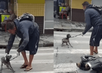 “Ele parecia ter desistido de viver”: homem usa laço e bicicleta para salvar cão assustado que virou sensação na web