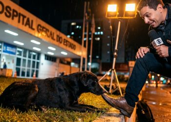 Cão preto dócil deitado na grama mordiscando o sapato de um repórter de televisão durante gravação noturna em Salvador