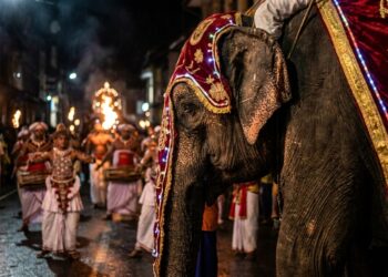 Elefanta idosa vestida com túnica cerimonial decorada com luzes e bordados durante procissão noturna em rua do Sri Lanka