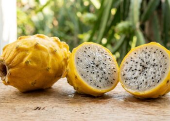 Adeus, pitaia tradicional: essa variedade amarela é mais doce, tem frutos de cerca de 300 gramas e pode crescer em vasos