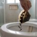 Jogar borra de café no vaso sanitário realmente elimina odores? O que a hidráulica diz sobre o método caseiro