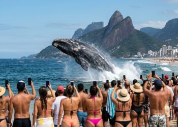 Baleia-franca saltando no mar diante de banhistas que filmam a cena com celulares na praia do Leblon, com o Morro Dois Irmãos ao fundo.