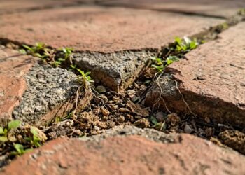 Nasceram pequenos tufos de mato crescendo diretamente nas frestas do piso do quintal ou da calçada? O rejunte desmanchou e virou terra
