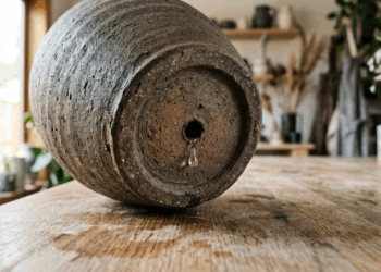 Colocar pedras no fundo do vaso para ajudar a drenar pode ter o efeito contrário se você esquecer deste detalhe crucial que sufoca as raízes
