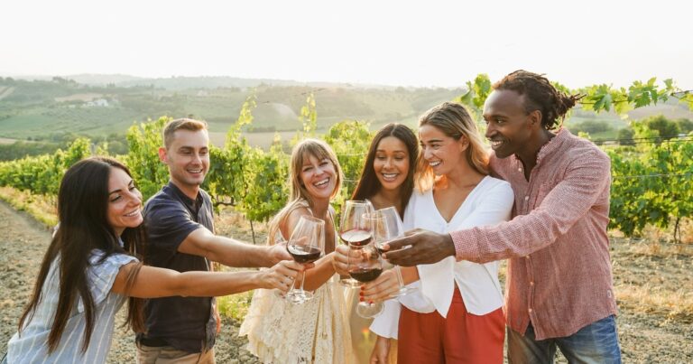 O que é a vindima e como participar dela na Toscana