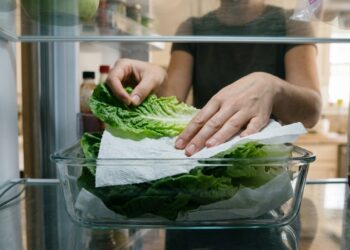 O truque da folha de papel-toalha no pote de alface que mantém as folhas frescas por 15 dias
